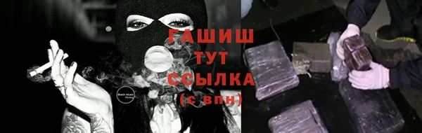 гидра Абаза