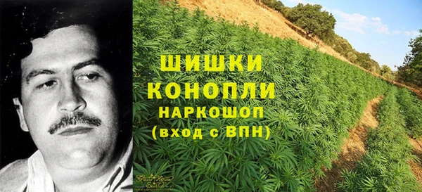 ПСИЛОЦИБИНОВЫЕ ГРИБЫ Абдулино